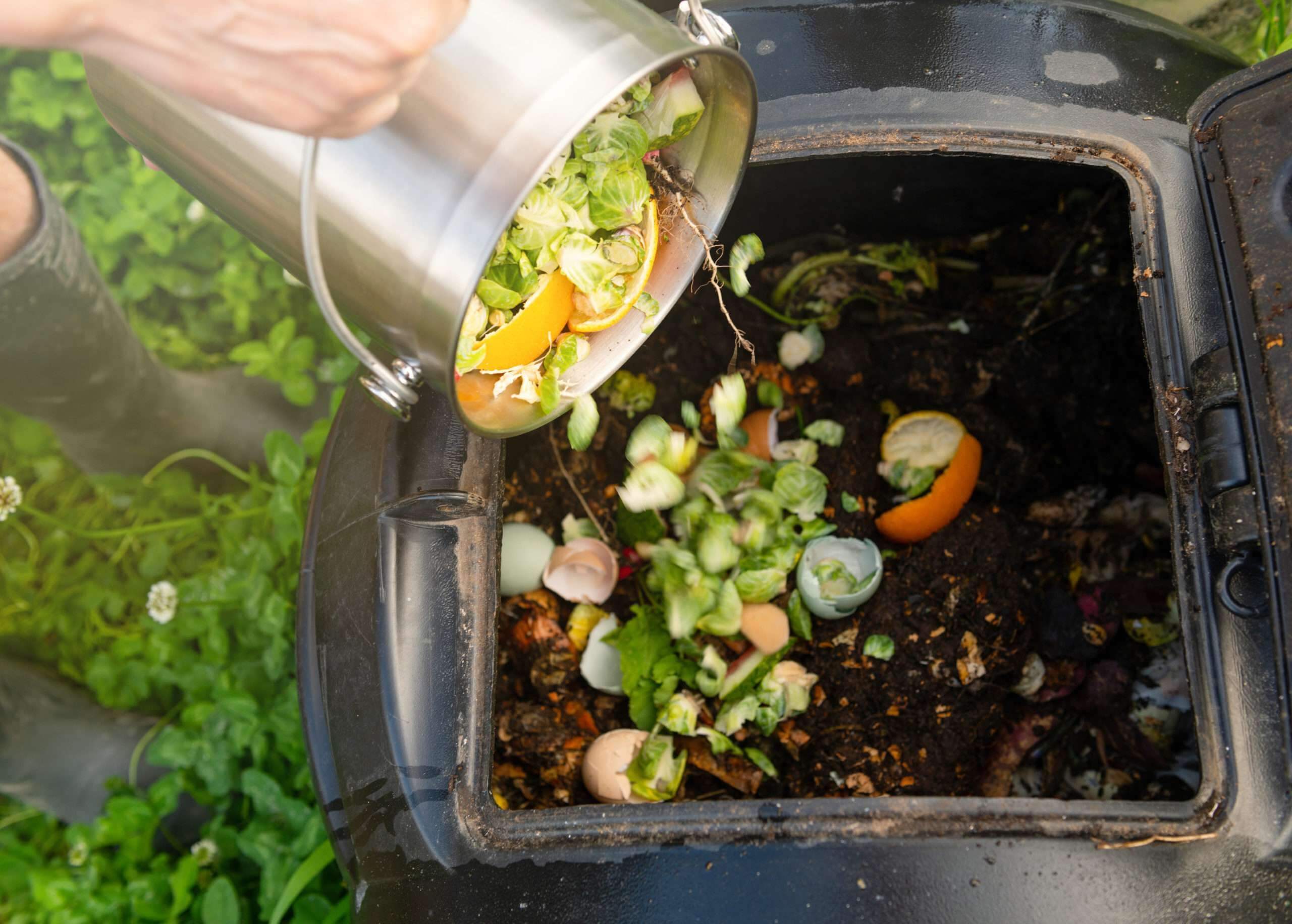 Mapping organic waste in Sydney to advance anaerobic co-digestion for energy generation and greenhouse gas reduction