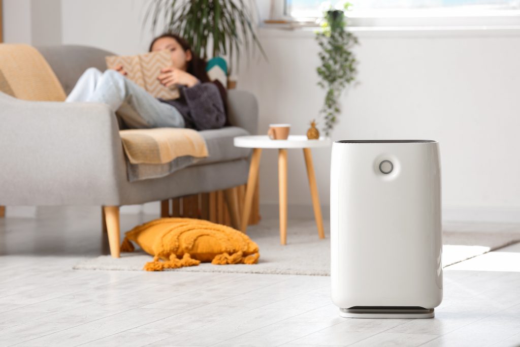 Exploring the indoor air quality in dwellings located in potentially highly polluted areas in current and future climates – A case study in Inner West