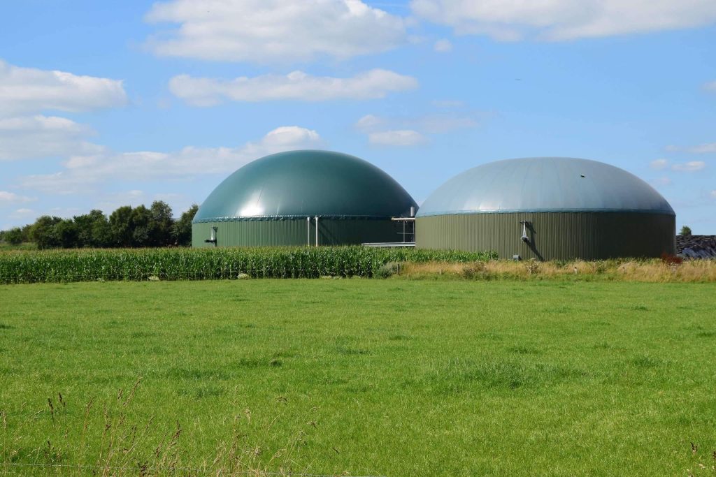 Anaerobic co-digestion of red meat industry wastes