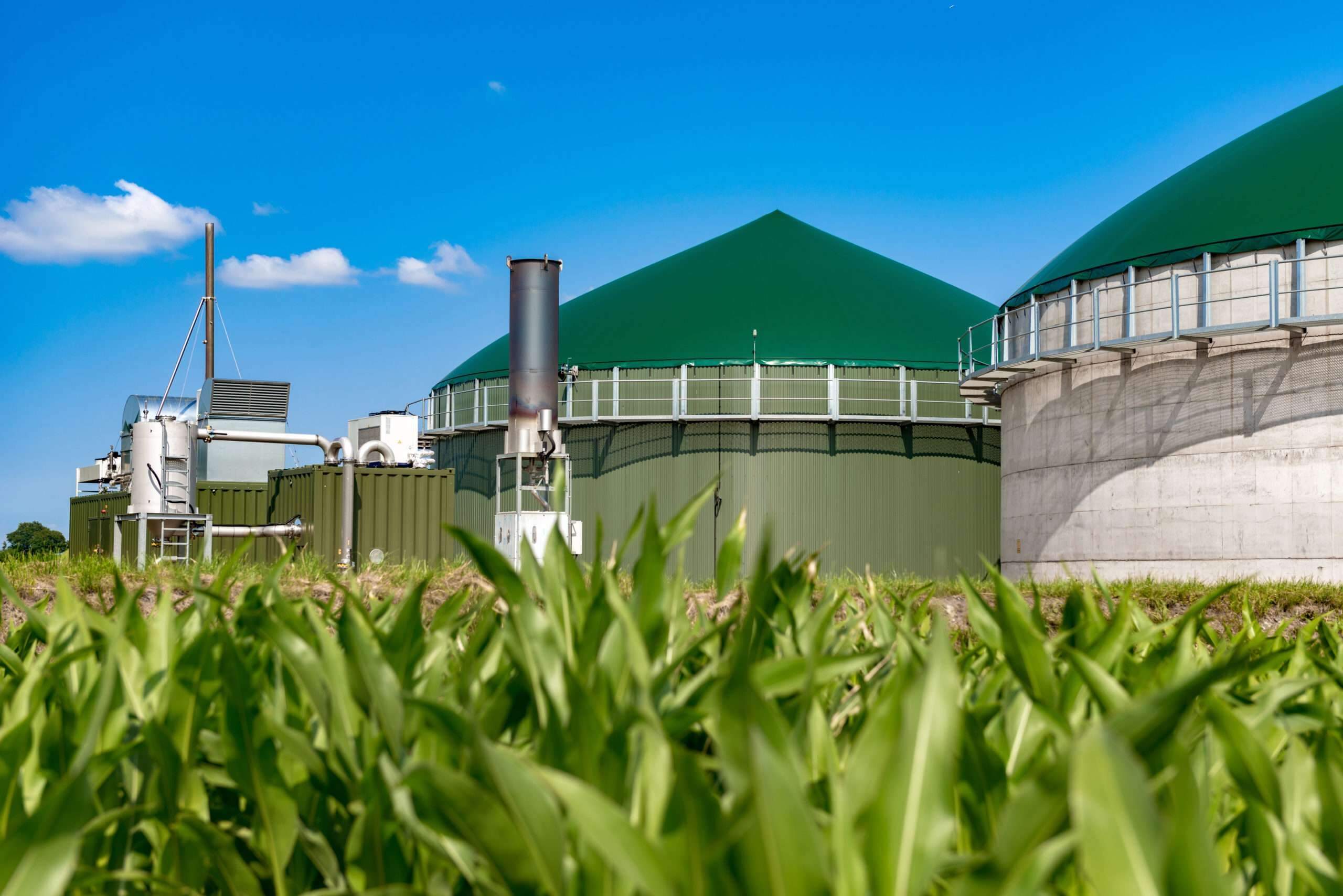 Onsite anaerobic digestion for power generation and natural gas/diesel displacement