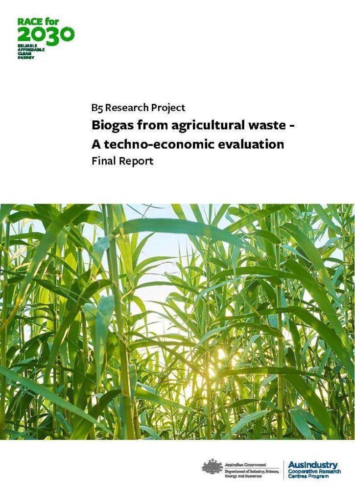 Biogas from agricultural waste – A techno-economic evaluation