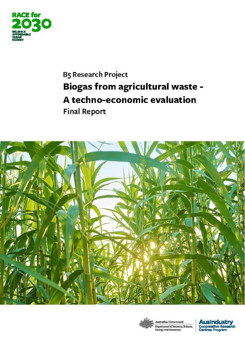 Biogas from agricultural waste - A techno-economic evaluation